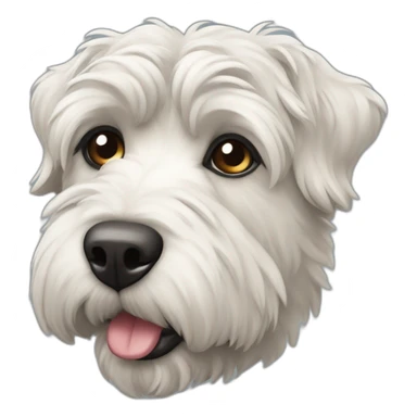 Bouvier Bernois sticker