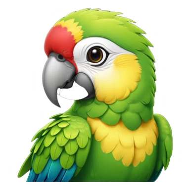green parrot with shirt sticker