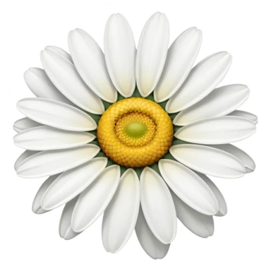 Daisy flower sticker