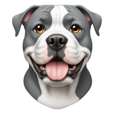 American bully grey and white  sticker