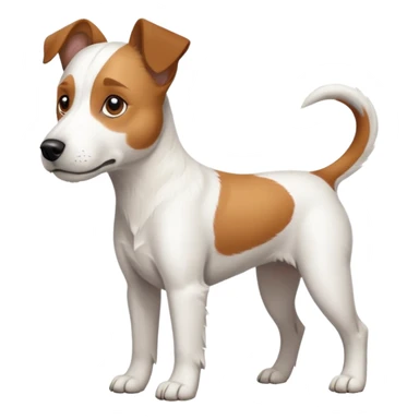 a full body large white parson russell terrier looking dog the size of a kelpie with light brown long ears and a light brown patch on one eye and a large snout sticker