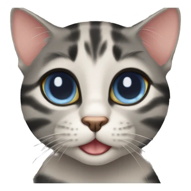 Cross eyed black cat with bengal  sticker