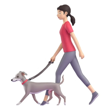 Beautiful Asian girl walking a solid grey Italian greyhound with absolutely no white markings, completely grey dog sticker