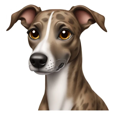 Dog whippet brown brindle  sticker