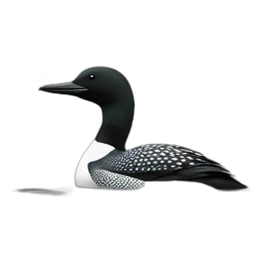 loon sitting on the water sticker