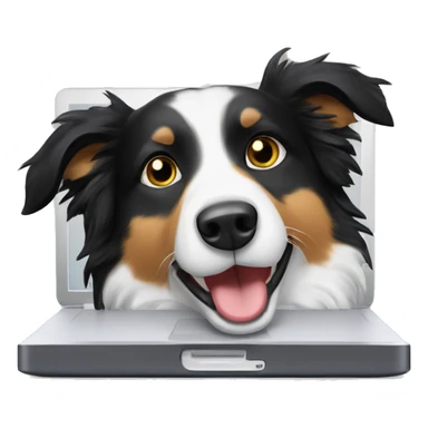Border collie behind laptop sticker