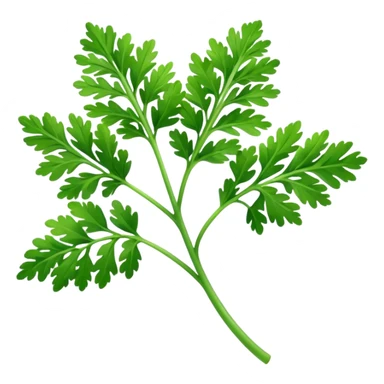 Hoja de perejil  sticker