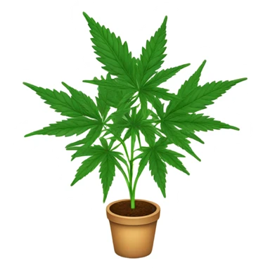  Potted Cannabis sativa tree sticker
