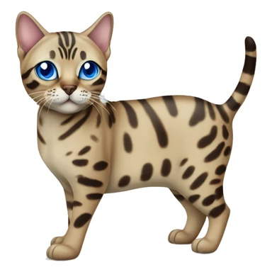Seal Bengal cat with Blue eyes standing sticker