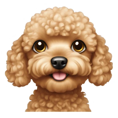 apricot toy poodle sticker