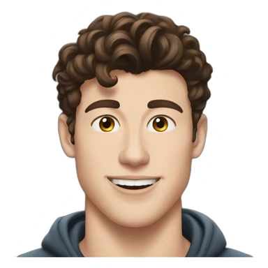 Shawn mendes sticker
