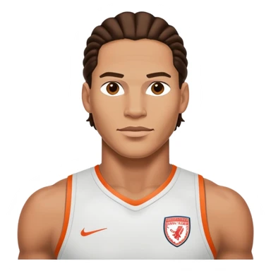 Van Dijk sticker