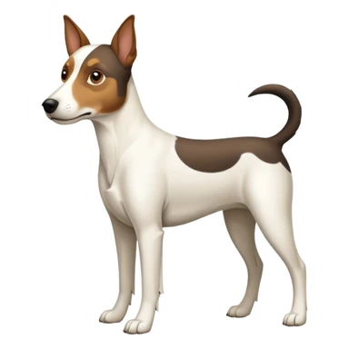 a full body large white floppy eared parson russell looking dog the size of a kelpie with light brown ears and a light brown patch on one eye and a large snout sticker