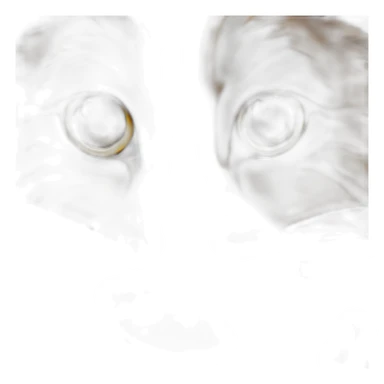 Chat angora tigré marron avec taches beiges sticker