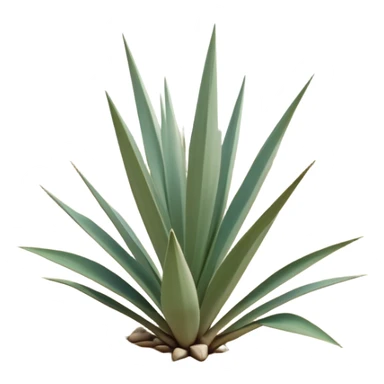 generate realistic detailed yucca in 3d style with sand  sticker