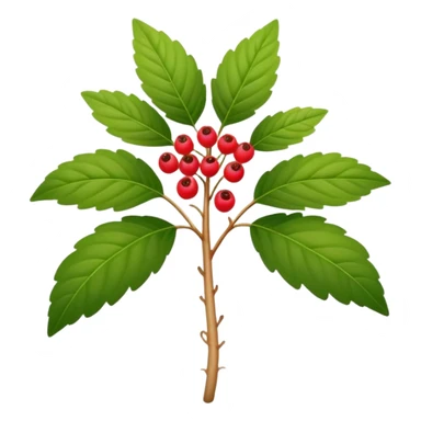wild ginseng with small berries sticker