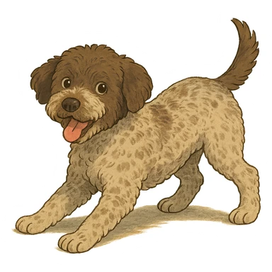 playful pose Lagotto Romagnolo dog, roan coat, gentle lighting, ghibli style sticker
