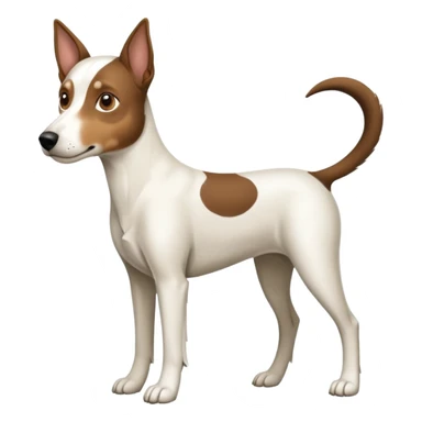 a full body large white floppy eared parson russell looking dog the size of a kelpie with light brown ears and a light brown patch on one eye and a large snout sticker