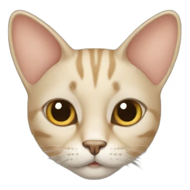 beige-cat-with-large-ears sticker