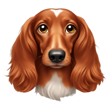 Red Long haired dachshund  sticker