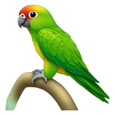 Une conure molinae à joue verte sticker