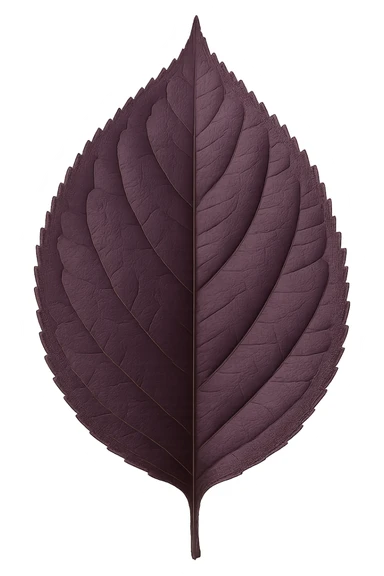 purple leaf , remove background sticker