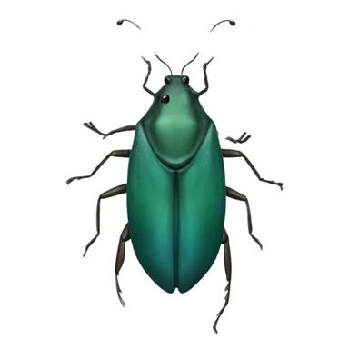 Bolivian water bug sticker