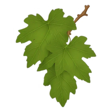 grape leaves sticker