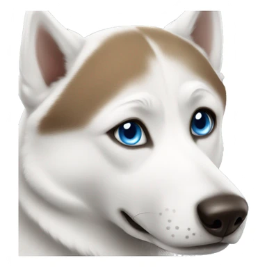 White husky with blue and brown eyes sticker