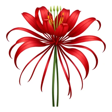 Chinese red spider lily  sticker