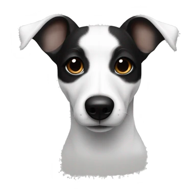 Total white jack russel ears black sticker