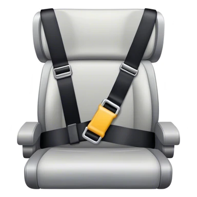 plane seat belt sticker