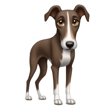 Chocolate brown lurcher grey hound cross dog  sticker