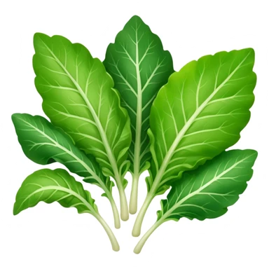 different salad leaves  sticker