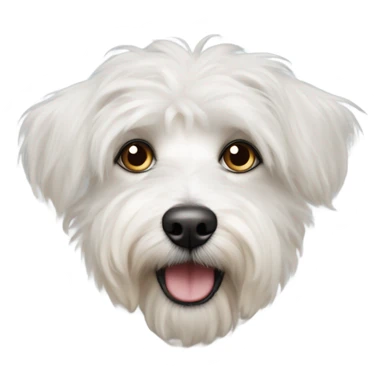 Perrito terrier tibetano blanco y ojos sticker