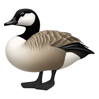 canada goose  sticker