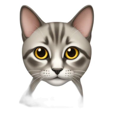 Chat siamois thaï sticker