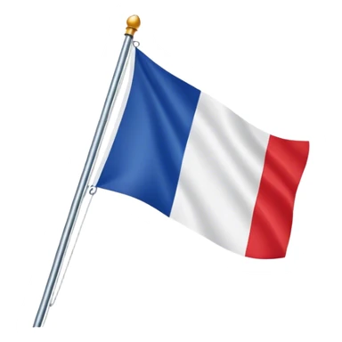 France flag sticker