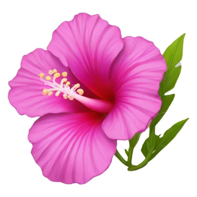 Pink Ibiscus flower  sticker