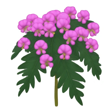 shame plant mimosa podia dormilona moriviví sticker