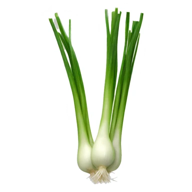 spring onion sticker