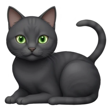 beautiful female solid dark grey cat with green eyes, white toes/paws and white patch on her chest playing sticker