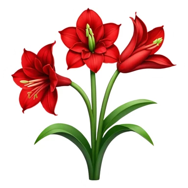 amaryllis sticker