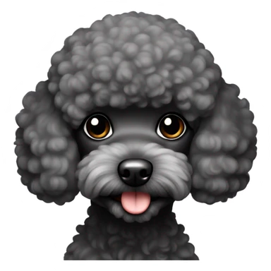 Black toy-poodle  sticker