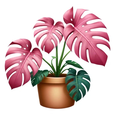 Monstera Plant pink  sticker