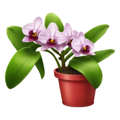 Orchidée rouge en pot sticker