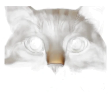 Good Morning cat sticker