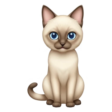 siamese cat with blue eyes sticker