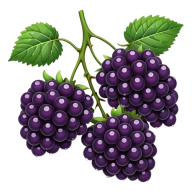 blackberries sticker