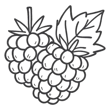 sweet blackberries, hand drawn sketch, detailed sticker